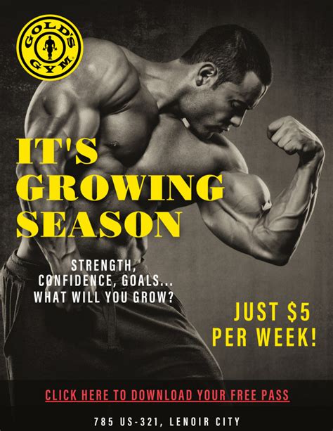 Free Gym Pass Get A Free Trial At Golds Gym Elliott Chiropractic