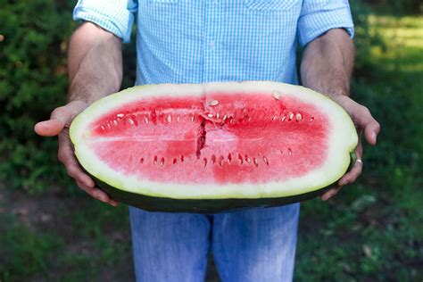 Most Beautiful Watermelon Is Sweetest Ever And It Saves Lives Beautifulnow