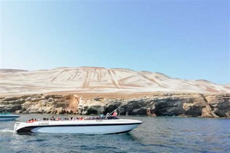 Paracas Ballestas Islands Morning Boat Tour Getyourguide