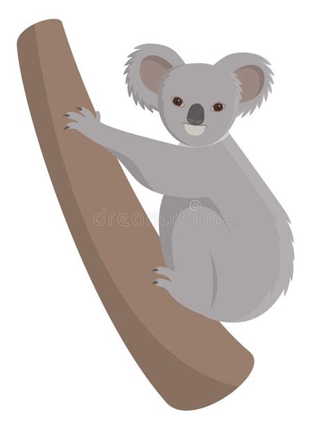 Climbing Cartoon Koala Koala Climbing Tree Cartoon Is One Of The