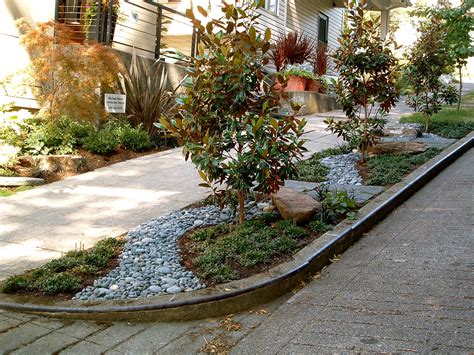Queen Anne Hill Seattle Sidewalk Landscaping Side Garden Garden Design