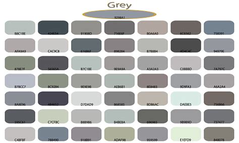 Shades Of Gray Color Isolated On White Background Gray