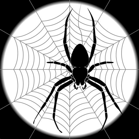 Download Spider Web Spider Web Royalty Free Vector Graphic Pixabay