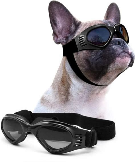 7 Best Dog Goggles For Ultimate Eye Protection Great Pet Care