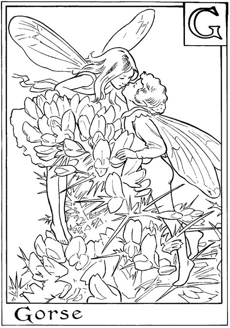Fairy Coloring Pages For Adults To Download And Print For Free