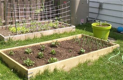 Aug 06, 2012 · we built two of these boxes at 4′ x 4′ for our small garden. Build a Garden Box For Family-Friendly Home Improvement