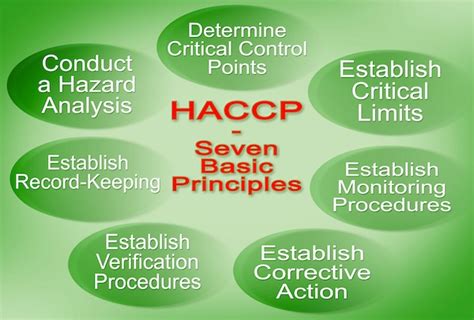 What Are The Steps Of An Haccp Plan Updated