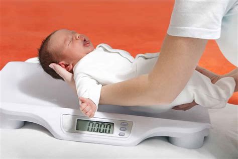Groeicurve Van Je Baby Na De Geboorte Ontwikkeling Lengte En Gewicht