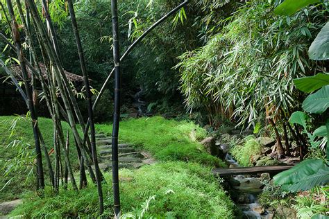 Funded by bertam consolidated rubber co. Tropical Spice Garden Penang - Malaysia Tourist & Travel Guide