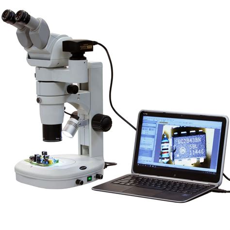 Amscope 8x 80x Cmo Trinocular Zoom Stereo Microscope With Adjustable H