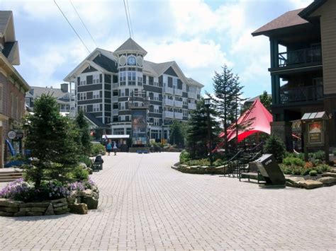 Explore an array of snowshoe, wv vacation rentals, including cabins, houses & more bookable online. Snowshoe Mountain Summer Vacation