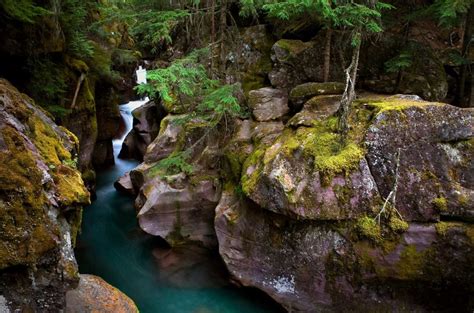 Avalanche Creek Bing Wallpaper Download