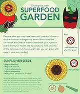 Pictures of What To Grow In Your Garden