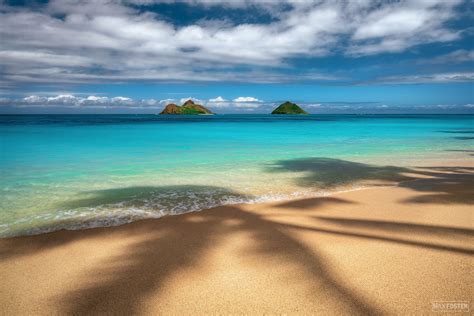Palm Trees And Daydreams Lanikai Beach Oahu Hawaii Max Foster