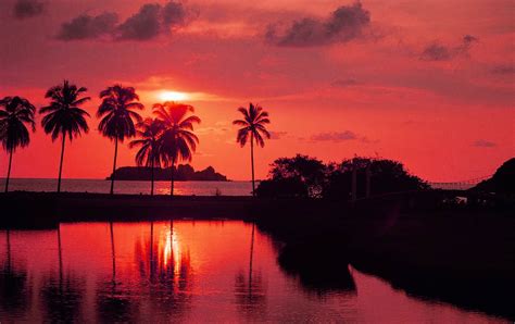 Fondo Pantalla Bonito Atardecer Con Palmeras Paisajes Paisajes