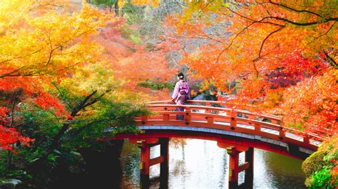 Japan Tours Best Japan Tours And Package Tours