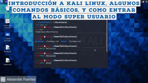Introducci N A Kali Linux Algunos Comandos B Sicos Y Como Entrar Al