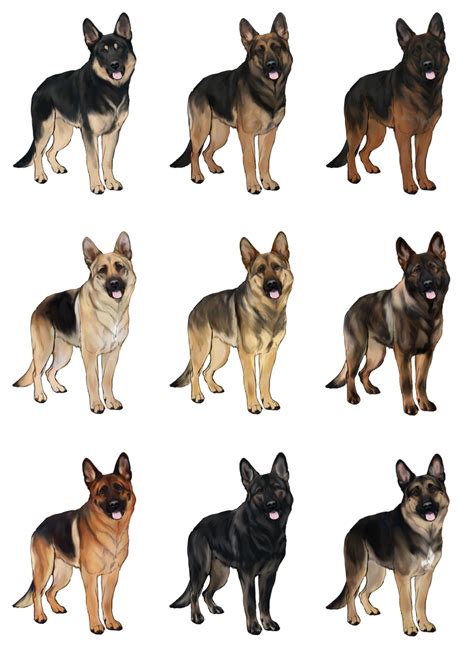 Gsd Imports Standard Colors All Sold By Aes0 On Deviantart German