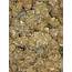 Buy Banana Kush  Deal Of The Day Online Cheap Weed