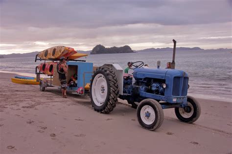 Sailor's cove boasts an absolutely perfect location with easy access to 2 beaches. The Cynical Sailor & His Salty Sidekick: Going For A Walk ...