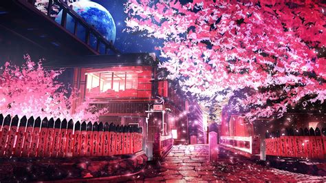1920x1080 Anime Cherry Blossom Wallpaper