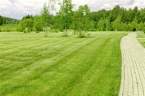 Perfectly And Freshly Mowed Garden Lawn In Summer Trimmed Grass Field