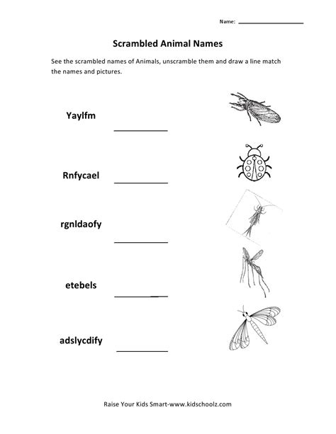 Worksheets are skillset, w, end of the year test, , decimals work, , holiday assignment you may click specific subject within a grade to view all the concepts available. Types Of Animals Worksheets For Grade 1