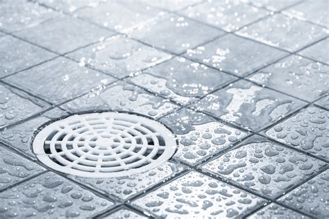 Everything You Need To Know About Floor Drains Ferrandino And Son