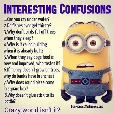 Interesting Confusions Weird Quotes Funny Funny Minion Memes