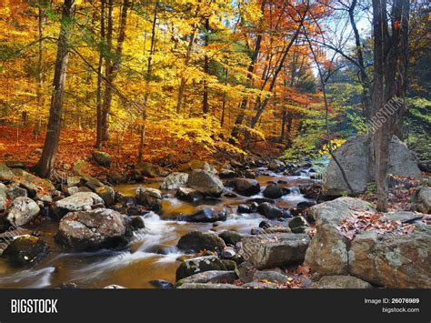 Autumn Creek Woods Image And Photo Free Trial Bigstock