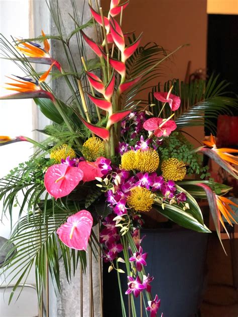 Heliconia Birds Of Paradise Pincushion Protea Anthuriums Dendrobium