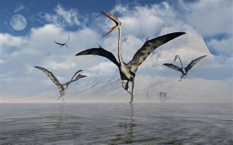 10 Tény A Quetzalcoatlusról A Világ Legnagyobb Pterosauruszáról