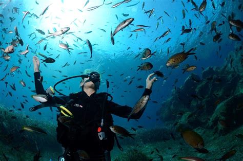 8 giugno, giornata mondiale degli oceani: 8 GIUGNO. GIORNATA MONDIALE DEGLI OCEANI - AgoraNews