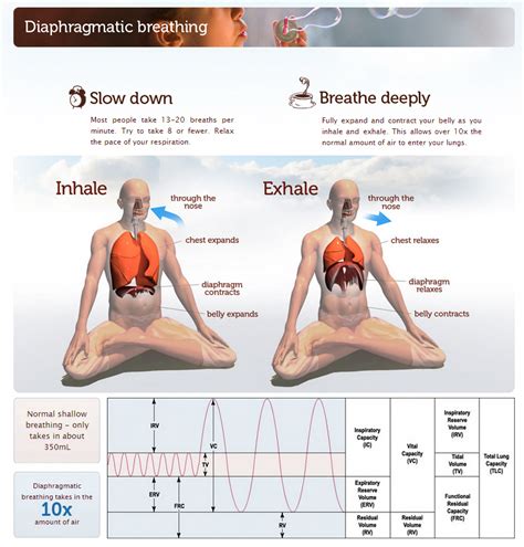 Deep Breathing Yoga Exercises Pranayama Diaphragmatic Breathing Exercise