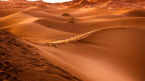 Download Wallpaper Sahara Desert 2560x1440