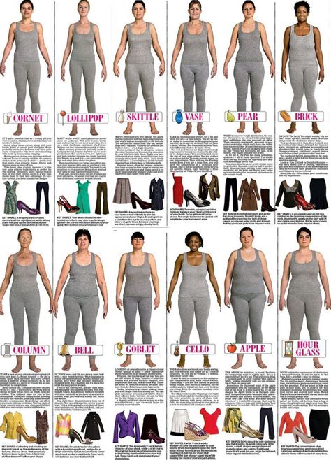 Women S Body Types Chart