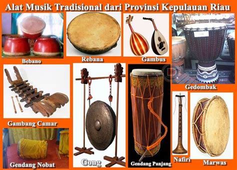 Gambus merupakan alat musik petik berdawai menyerupai gitar, namun memiliki bentuk bulat cembung. 88 Alat Musik Tradisional Dari Pulau Sumatera | DTECHNOINDO