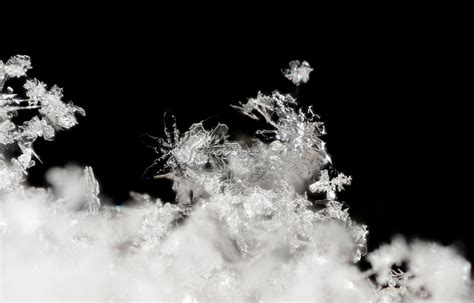 Snow Crystals Cristaux De Neige Focus Stacking Image Co Flickr
