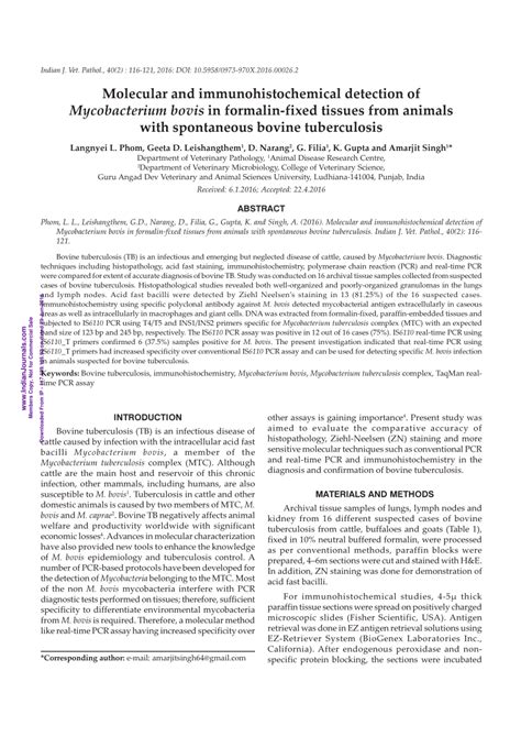 Desain kantor yang baik juga harus memberi suasana nyaman bagi pekerjanya agar selalu fit dan tidak cepat merasa lelah sehingga kinerjanya menjadi baik. Kantor Pmn Krian / Developmental Perspectives Of The Drugs Targeting Enzyme Instigated ...