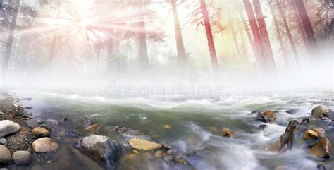 Magic River Stock Image Image Of Calm Rainforest Mysterious 53565991