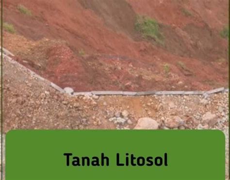 Jangan memakai tanah karena akar sulit untuk menembusnya jenis tanah yang bagus untuk tumbuhan - Blog Elysetiawan