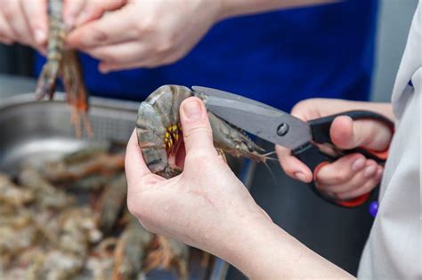 Maybe you would like to learn more about one of these? 5 Tips Masak Udang Enak dan Variasi Resepnya - MAHI