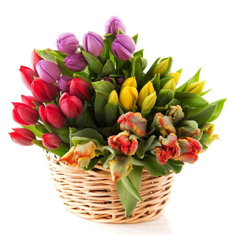 Scarica meravigliose immagini gratuite su mazzo di fiori. Cesto di tulipani in varie tonalità - Fiori online ...