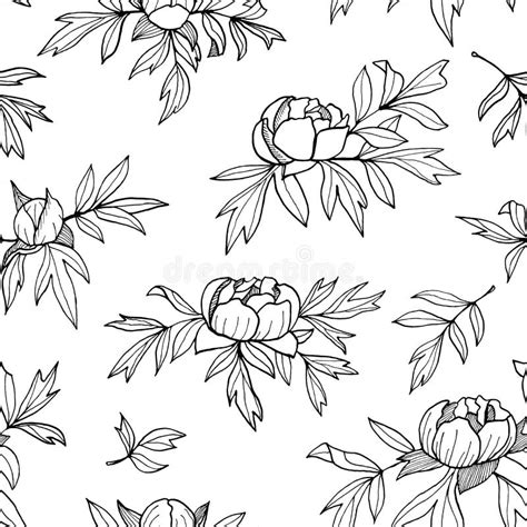 Peony Flower Buds Leaves Monochrome Seamless Pattern Hand Drawn