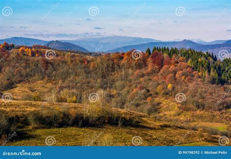 Forest On A Hill In Front Of A Mountain Ridge Stock Photo Image Of