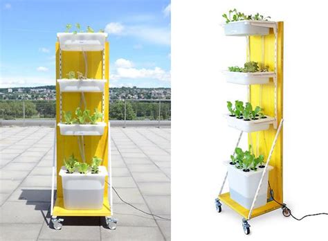 Maybe you would like to learn more about one of these? Easy hydroponics gardening setup | Hydroponics diy, Hydroponic gardening, Indoor vegetable gardening