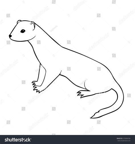 Weasel Outline Illustration 270304160 Shutterstock