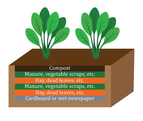 Soil Options For Raised Bed Gardening Planter Growing Guide