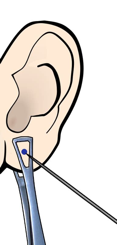 Ear Piercing Clipart 20 Free Cliparts Download Images On Clipground 2024