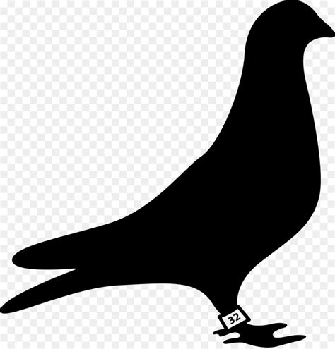 Gambar Burung Dara Vector – Crimealirik Page